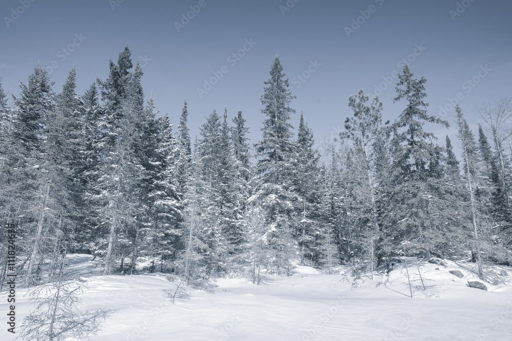 winter landscape in ontario canada