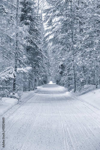 snowmobile trail in winter