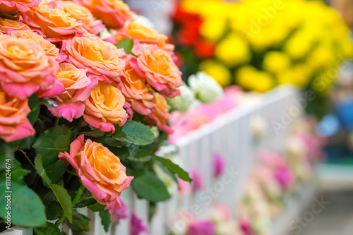 Wallpaper Mural Roses behind the fence Torontodigital.ca