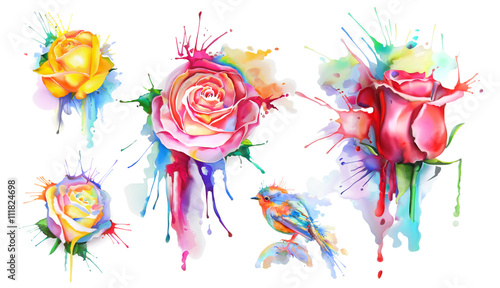Watercolor roses, set of vector icons
