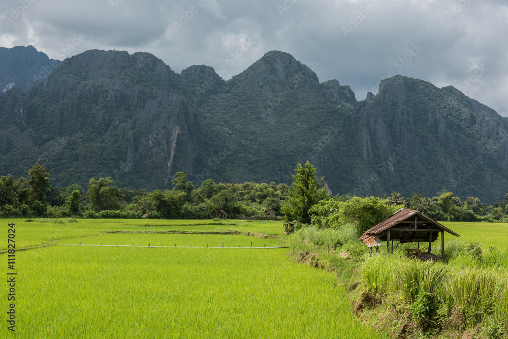 Fototapeta premium Lush Green Lands