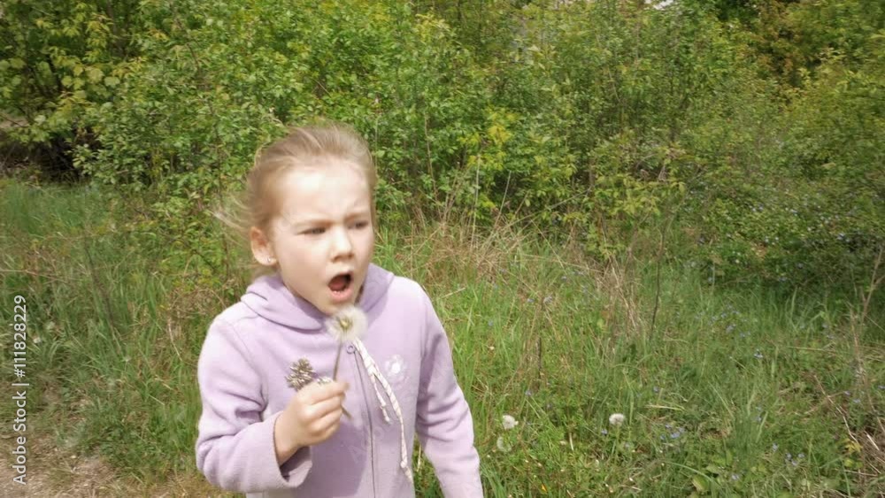 Smiley and happy little 5 years child girl blows away dandelion laughs and smiles. Carefree childhood summer and happiness concept. 4K UHD video footage. Smiley and happy little 5 years child girl blows away dandelion laughs and smiles. Carefree childhood summer and happiness concept. 4K UHD video footage.