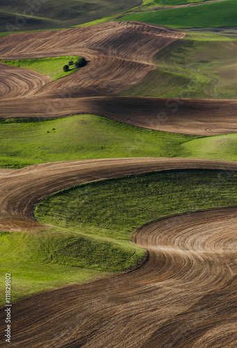 Plowing Abstracts. The view from Steptoe Butte State Park yields endless opportunities for taking abstract photos of plowed fields. Plowed dirt and winter grass make a striking contrast.