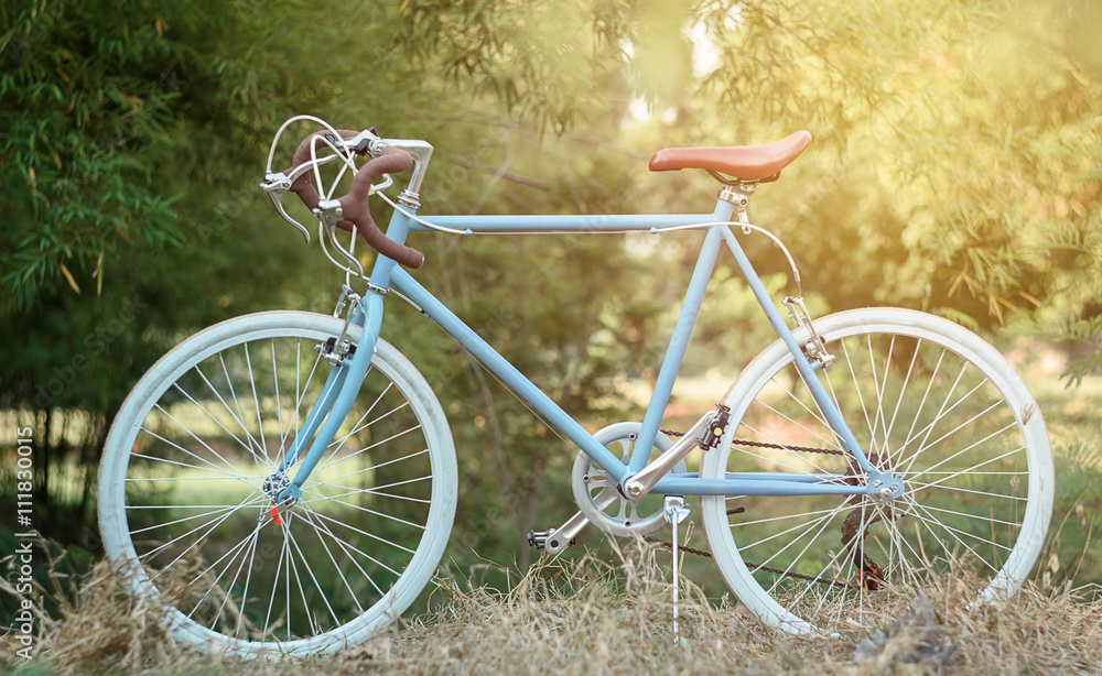 beautiful image with sport vintage bicycle at garden ; vintage f