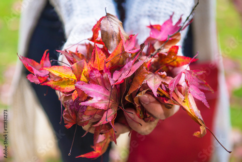 Hands holding autumn leaves of different colours photo