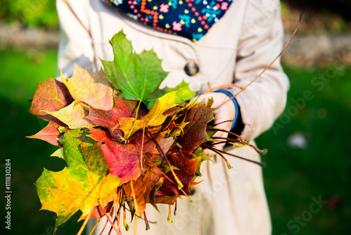 Hands holding autumn leaves of different colours photo