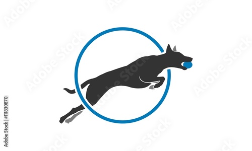 K9 Dog Training Sports Logo