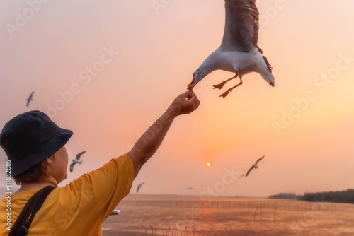 Woman feeding seagulls, the Bang Poo, Thailand. photo