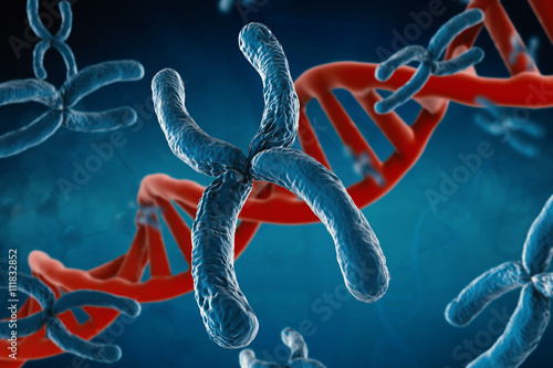 blue chromosome and red dna structure on blue background