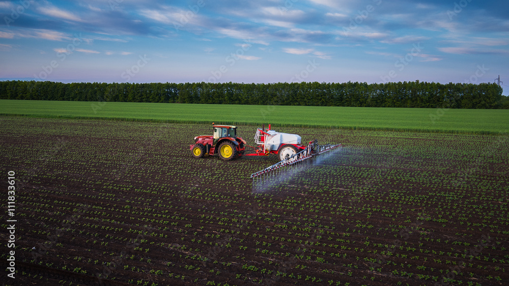 Naklejka premium Tractor spraying field at spring