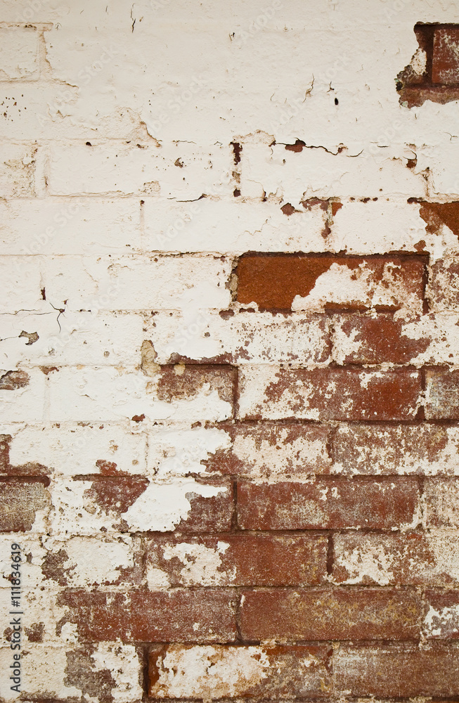 Obraz premium Brick Wall