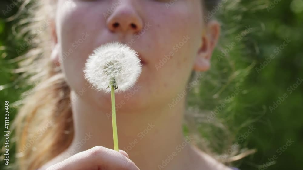 teen girl blowing white dandelion to the camera on sunny day slowmo, 180fps prores footage teen girl blowing white dandelion to the camera on sunny day slowmo, 180fps prores footage