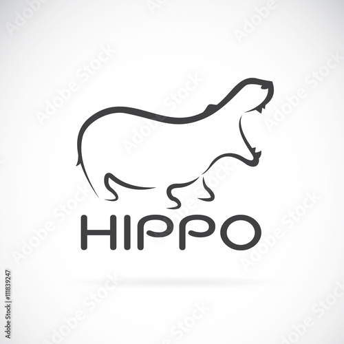 Vector image of an hippo design on white background.