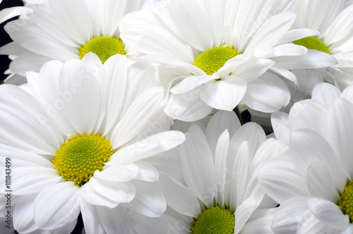 White daisy flower bouquet