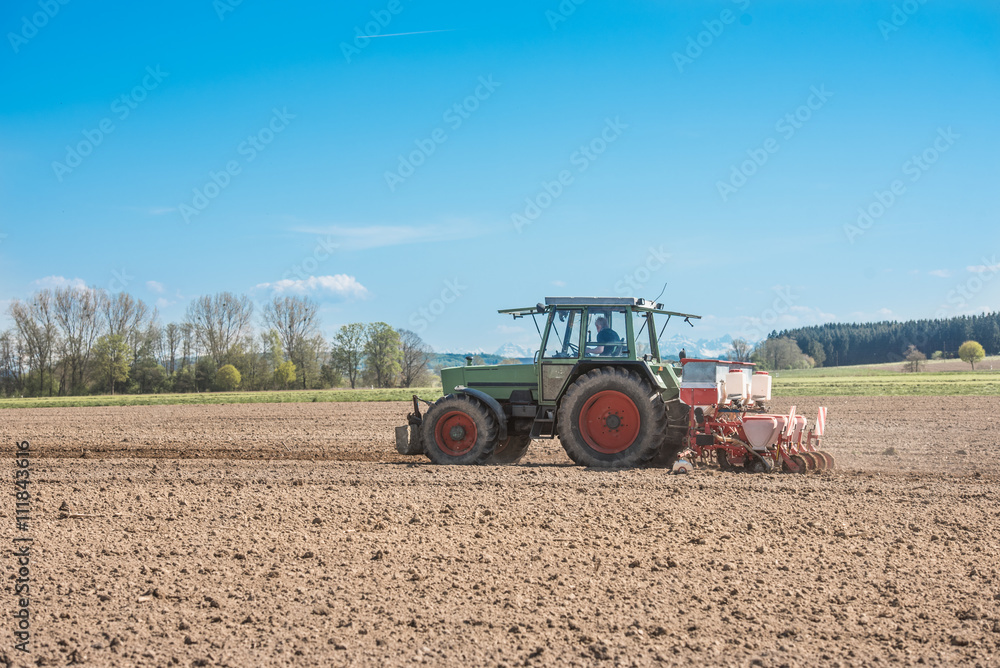 Fototapeta premium Siew traktorem
