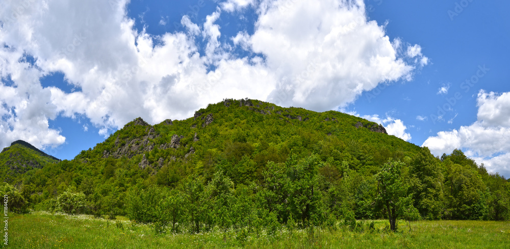 Mountain panorama with green meadow