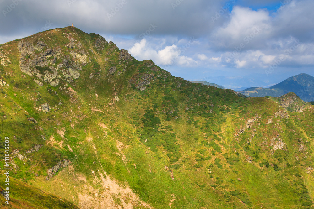 Obraz premium Sunny summer panoramic landscape in the mountains.