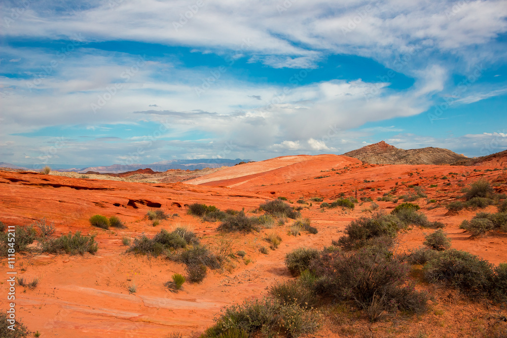 Naklejka premium The Valley of Fire State Park, USA.
