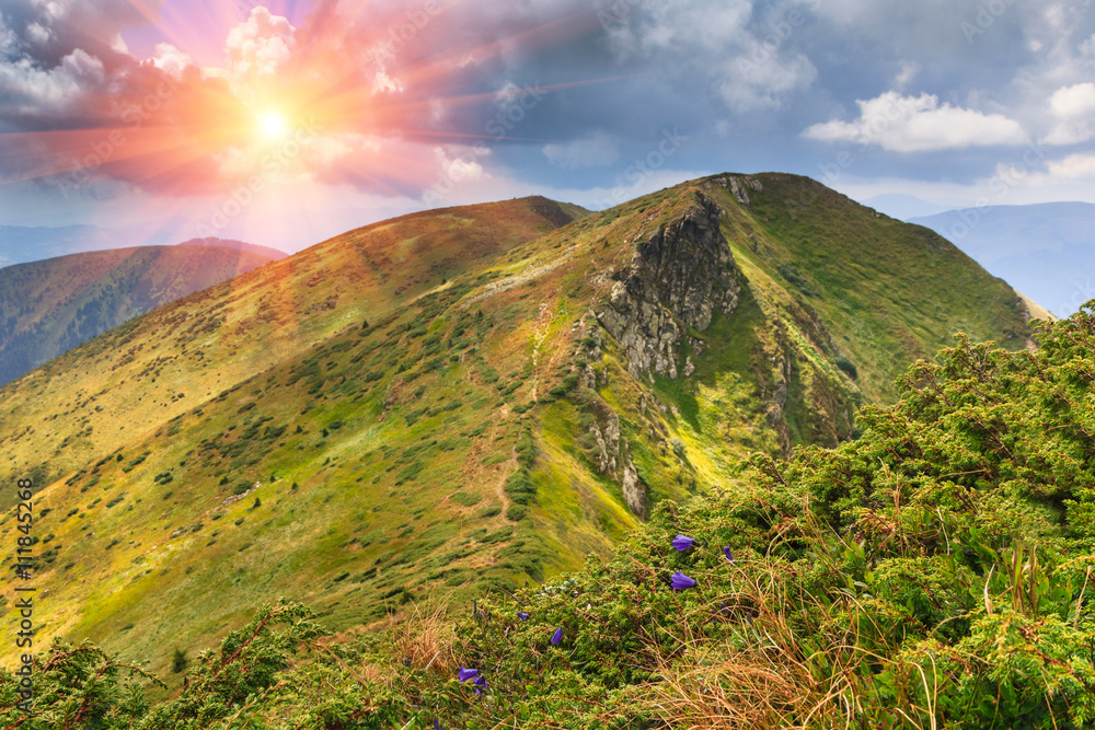 Fototapeta premium Sunny summer panoramic landscape in the mountains.