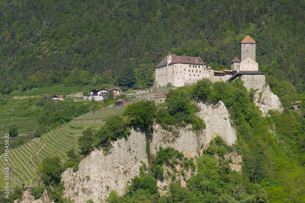 Weinanbau im Vinschgau und Schloss Tirol | Südtirol Weinanbau im Vinschgau und Schloss Tirol | Südtirol