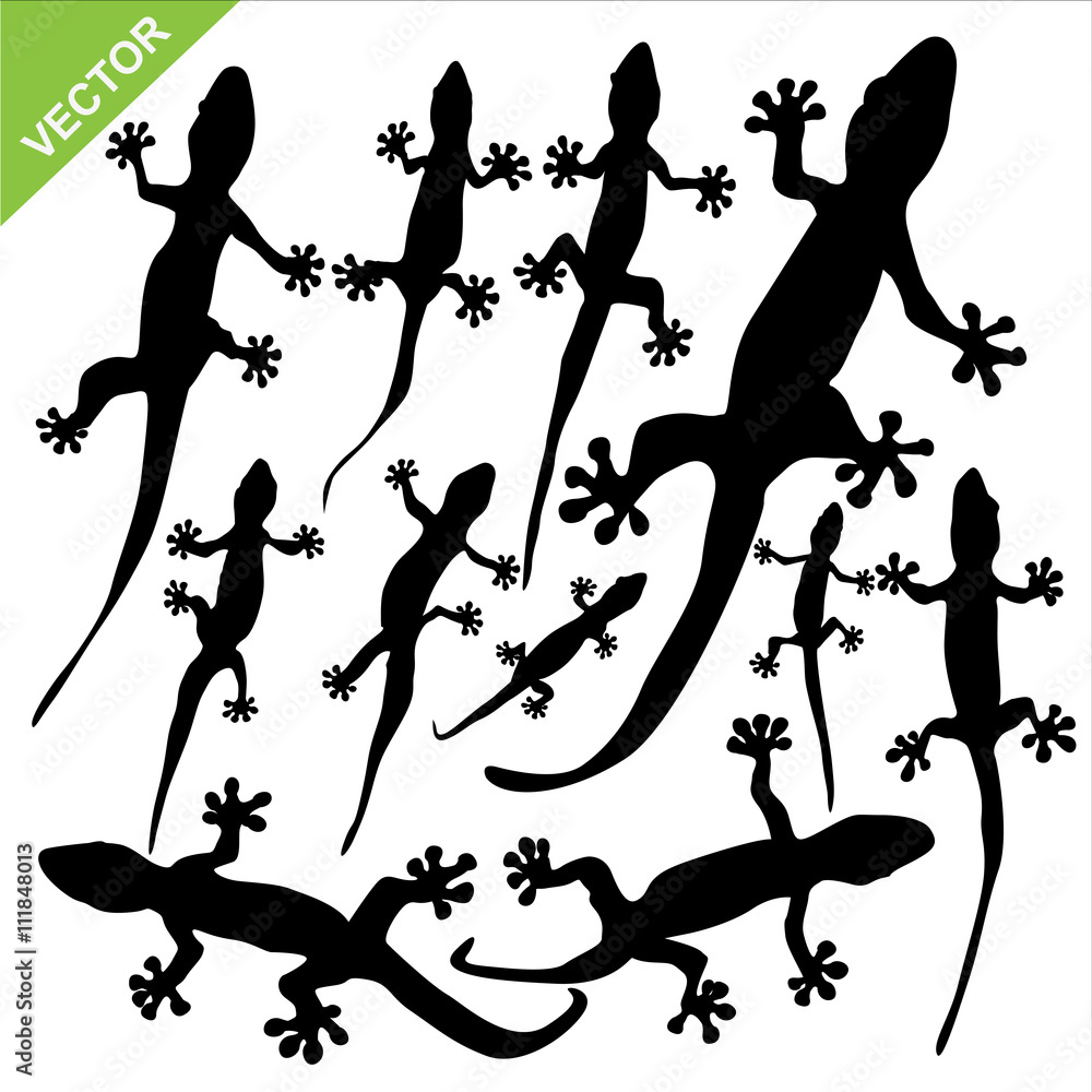 Naklejka premium Gecko silhouette vector