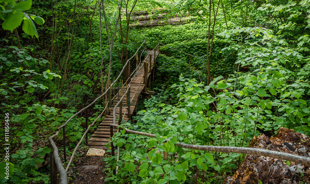 Fototapeta premium old wooden bridge in green forest