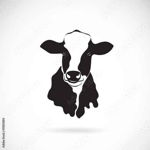 Vector image of an cow on white background
