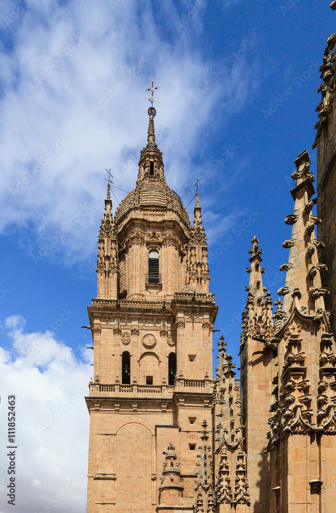 Cathedral of Salamanca,Castile and Leon, Spain

