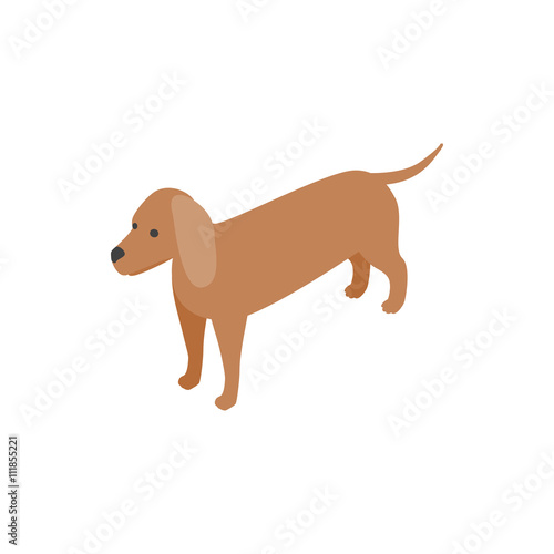 Dachshund dog icon, isometric 3d style