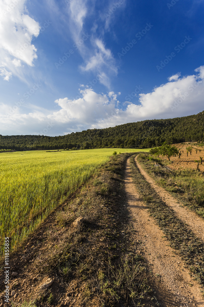 Agricultural landscape. Comarca Noroeste, Región de Murcia, Spain, Europe.