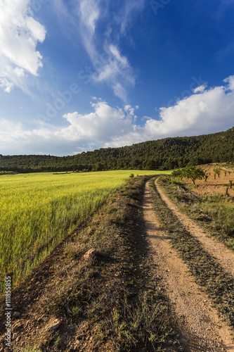 Agricultural landscape. Comarca Noroeste  Regi  n de Murcia  Spain  Europe.