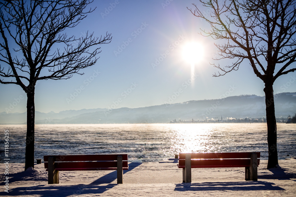 Naklejka premium Bodensee im Winter 