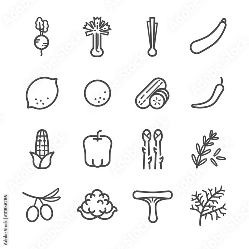 Food ingredient icons for application set 3