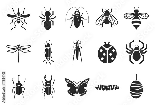 Insect icons 