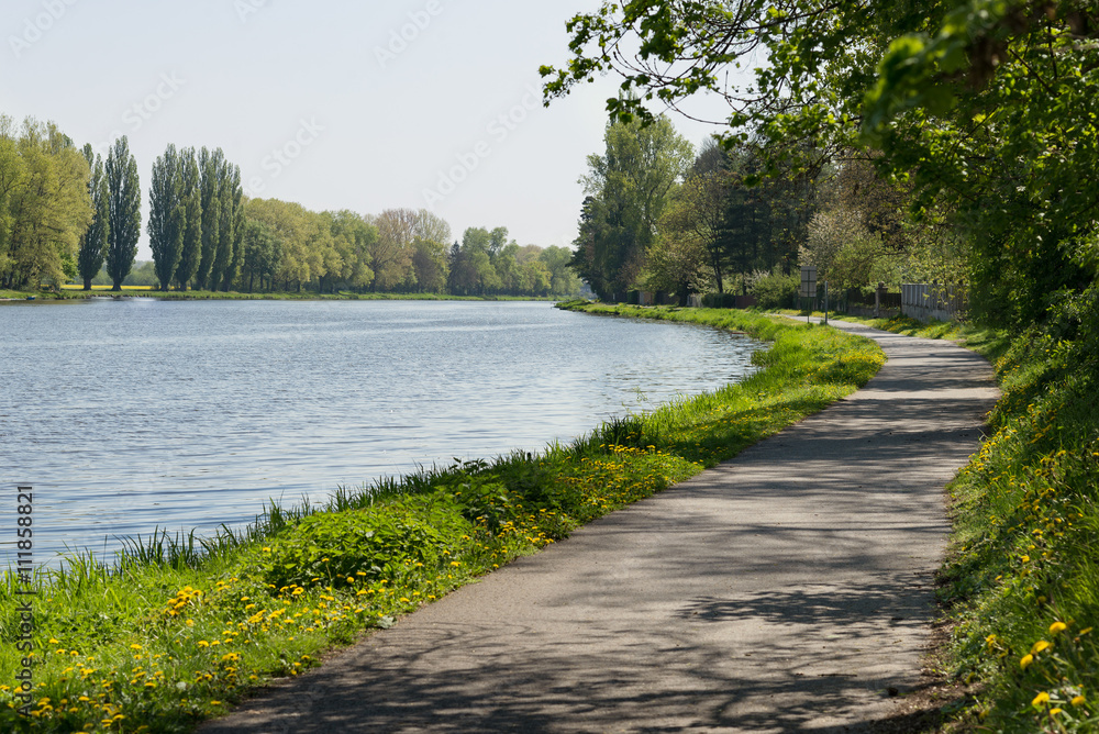 Fototapeta premium Bike lane bicycle cycle path by the river green trees EU supported project Brandys Labe