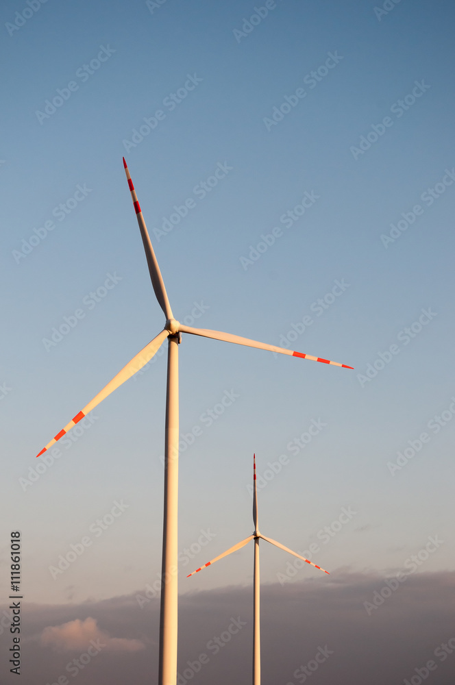 the image of windmill for the day