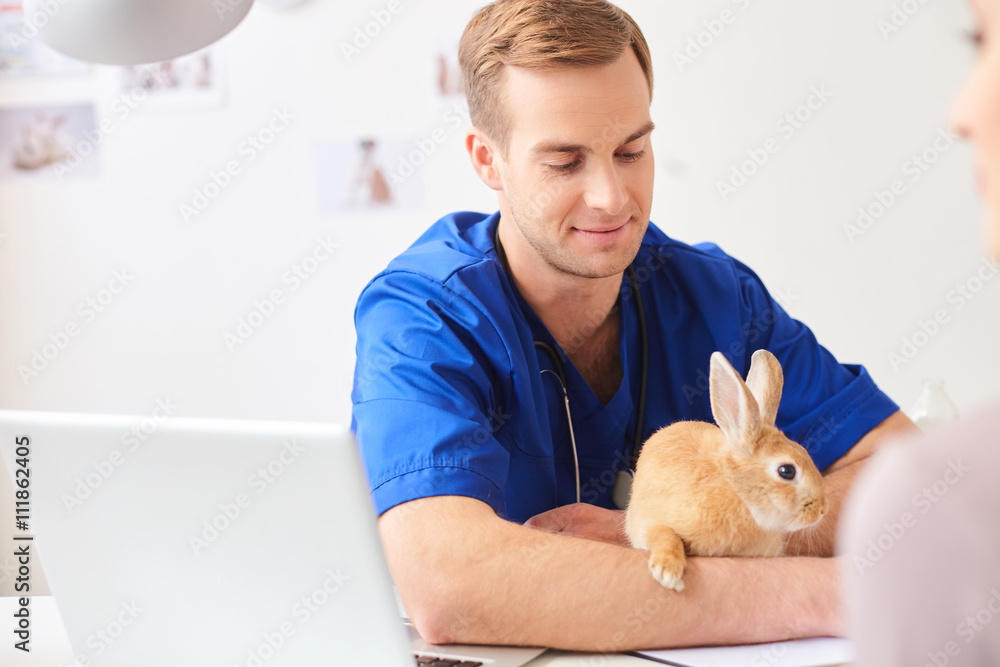 Obraz premium Professional young veterinarian is examining an animal