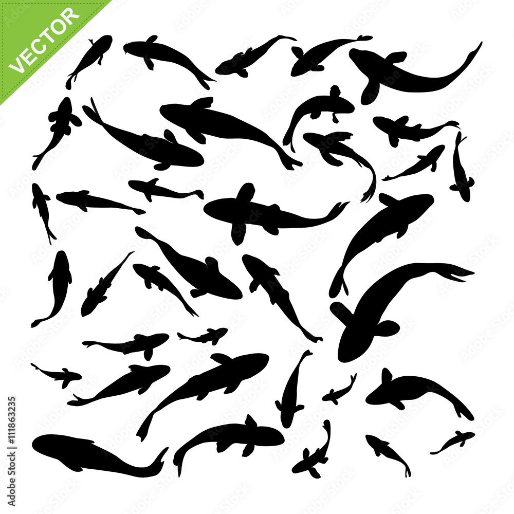Fototapeta premium Top view of fish silhouettes vector