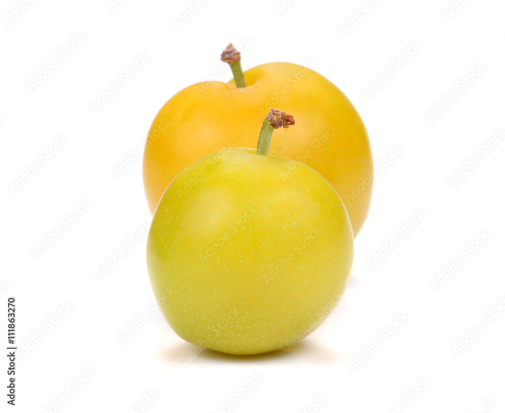 Yellow Ripe plum on white background.