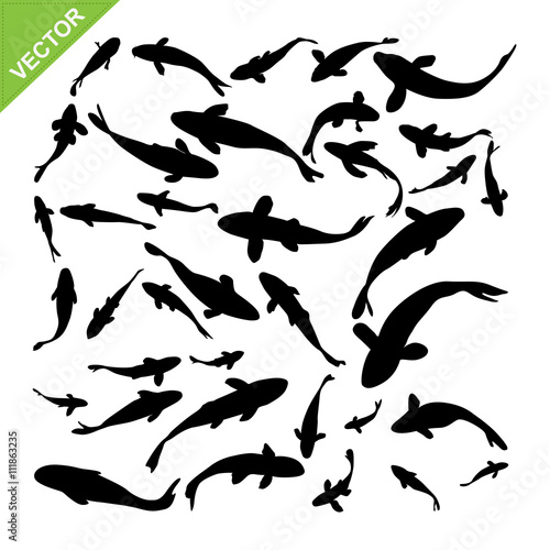 Top view of fish silhouettes vector