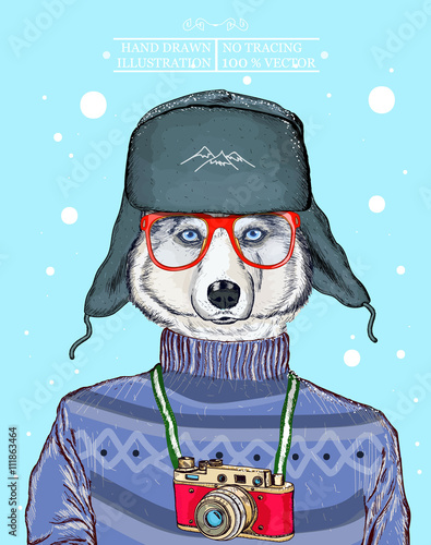 Fashion animal illustration, husky dog hipster animal
