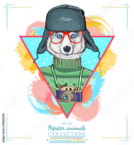 Portrait of fashion husky dog, hipster animals