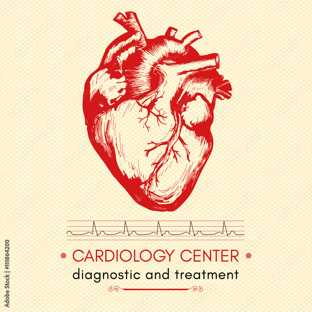 Anatomical heart vector logo. Logo for clinic, medical cardio centre,  cardiology. Vector illustration heart logo in flat style. Healthcare logo.  - Stock Image - Everypixel