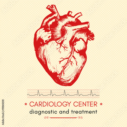 Human heart medical symbol of cardiology logo cardiology center