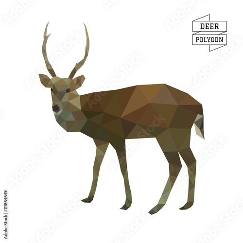 Deer polygon vector