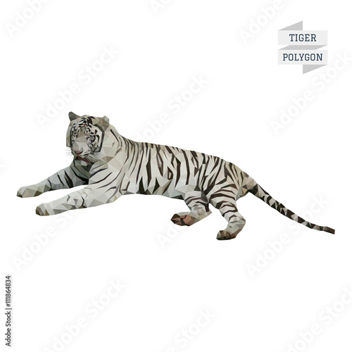 Fototapeta Naklejka Na Ścianę i Meble -  Tiger polygon vector