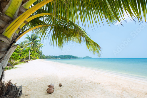 Fototapeta Naklejka Na Ścianę i Meble -  Beautiful Exotic beach with coconut palm