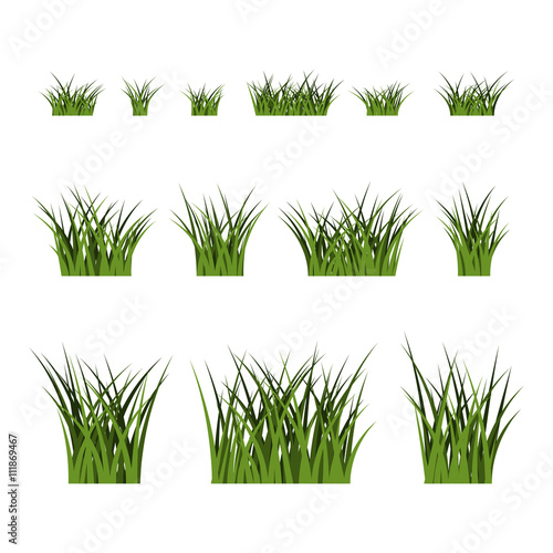 Green grass bushes set. Nature plant background. Collection silhouettes isolated on white. Symbol of field  lawn  spring and meadow  fresh  summer. Elements for design environment. Vector illustration