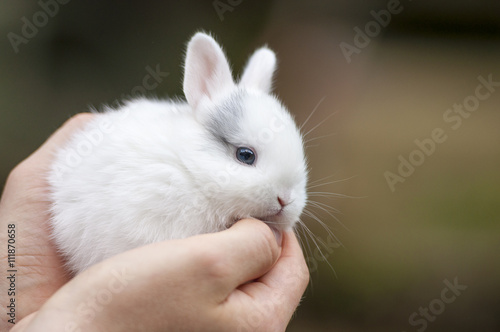 Принти на полотні Man holding a rabbit in his arms