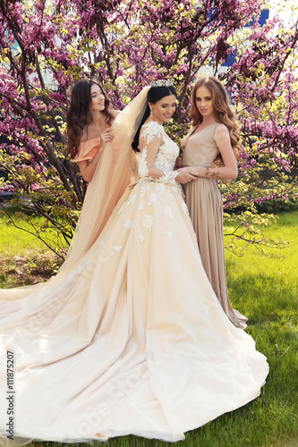 fashion outdoor photo of gorgeous bride in luxurious wedding dress  posing with beautiful bridesmaids in elegant dresses 